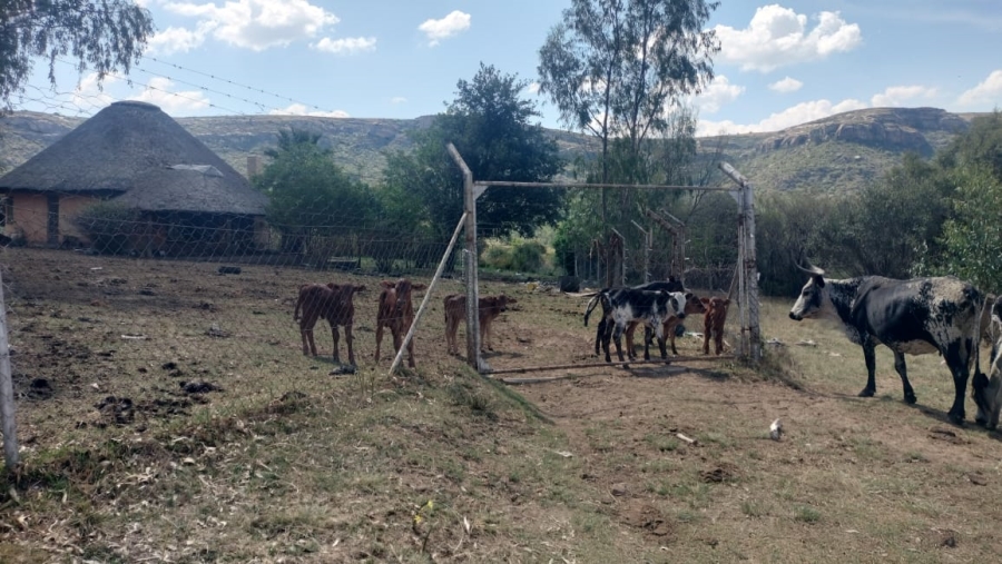 2 Bedroom Property for Sale in Ladybrand Free State